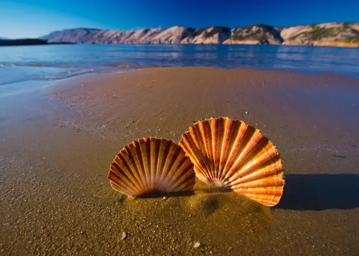 Apartman In With Sea View, Balcony, Wifi